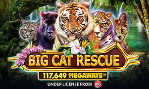 Ảnh bìa trò chơi fun88 fun88kyc Big Cat Rescue Megaways